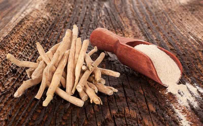 Ashwagandha: Qué es, beneficios, cómo tomarla y preguntas frecuentes