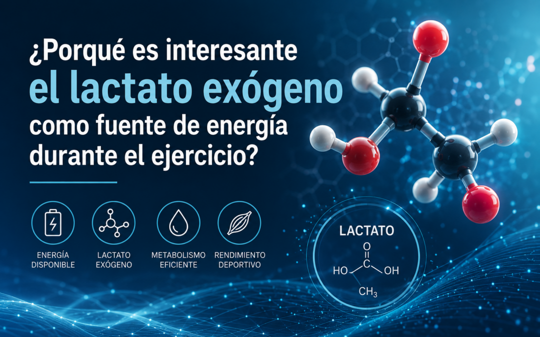 ¿Porqué es interesante el lactato exógeno como fuente de energía durante el ejercicio?