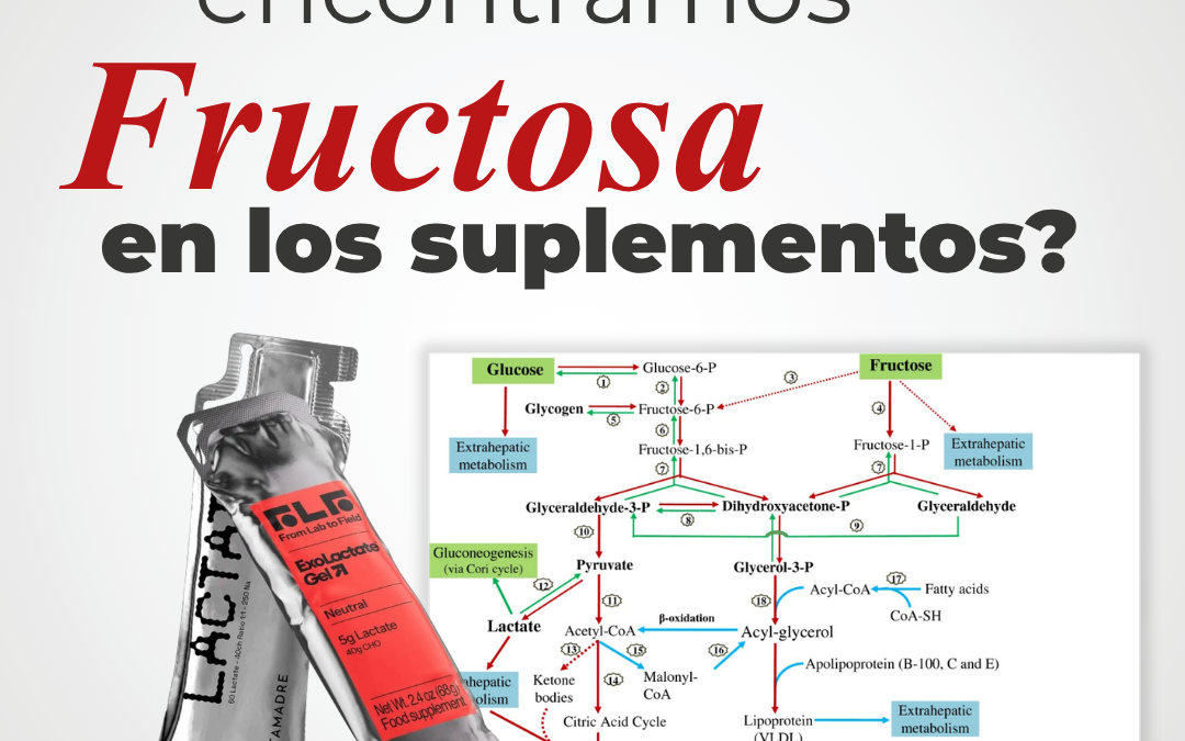 ¿Por qué cada vez hay más fructosa en los suplementos?